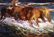 Joaquin Sorolla Y Bastida Oxen Study for the Afternoon Sun oil painting picture wholesale